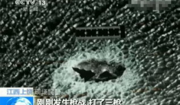 射逼视频,探索射逼视频背后的故事与启示